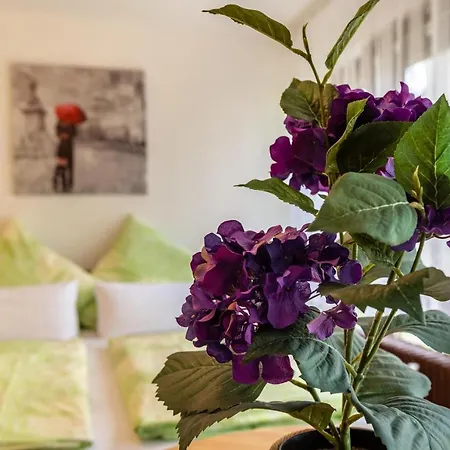 Fetscher 1 Apartamento Reichenau