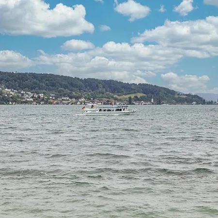 Fetscher 1 * Reichenau