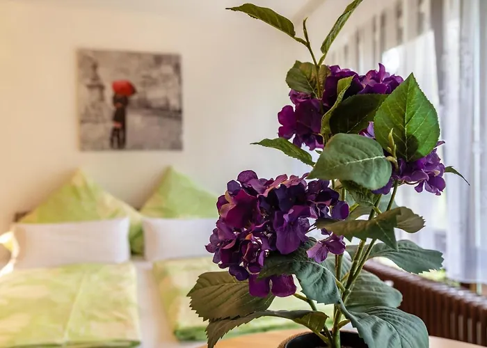 Fetscher 1 Apartamento Reichenau